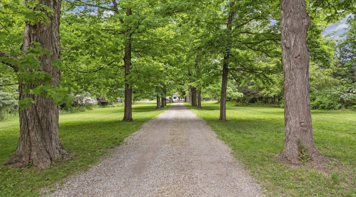 Allee